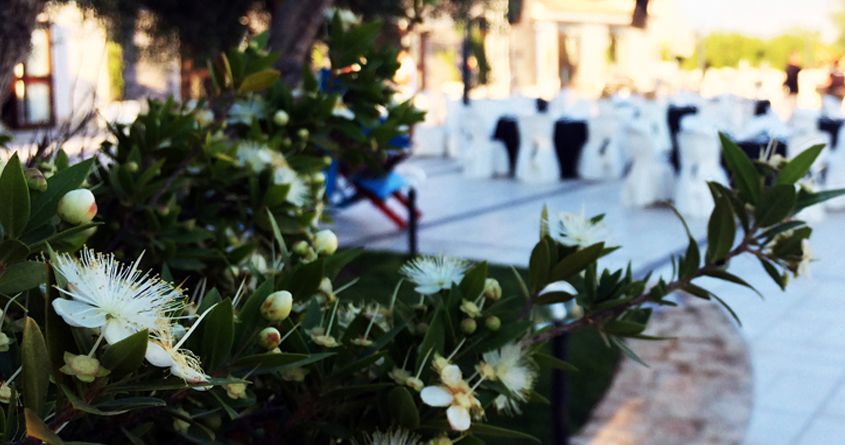 Dimmi che fiore scegli e ti dirò che sposa sei! Tutti i significati del mirto